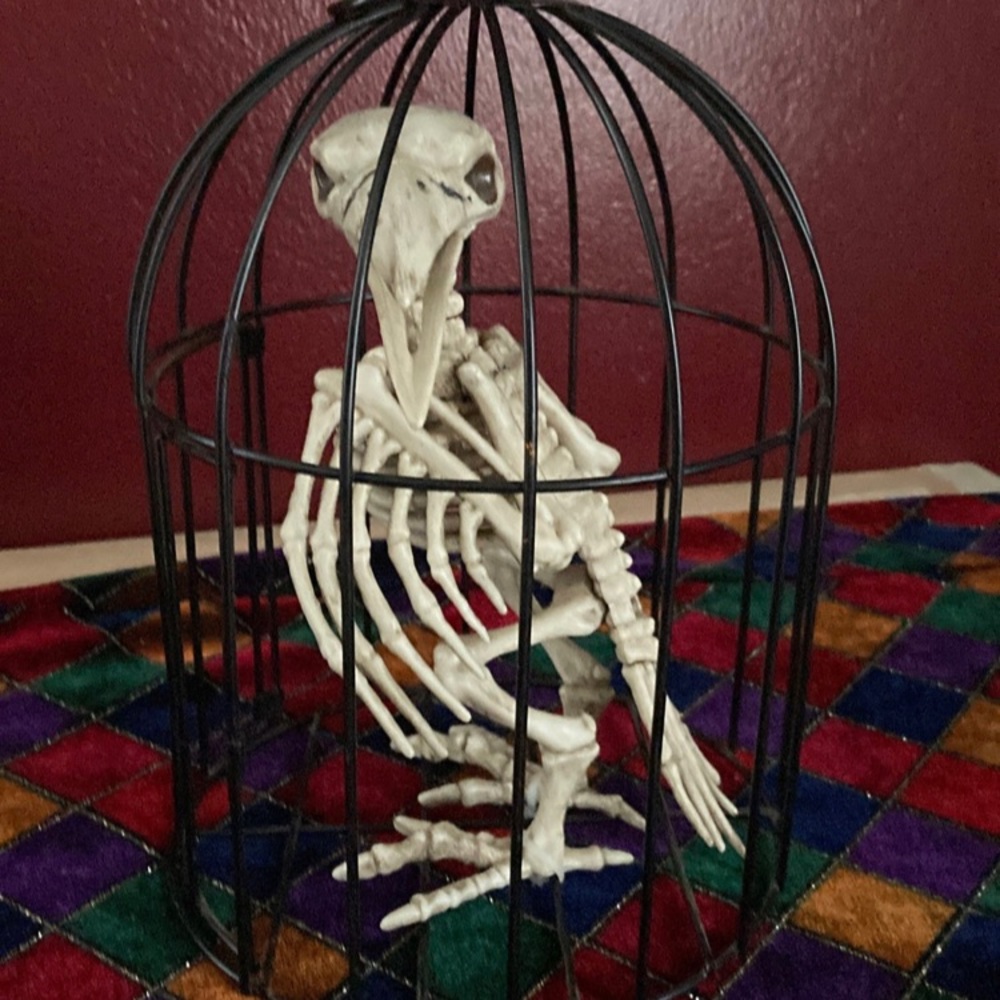 Halloween Decor